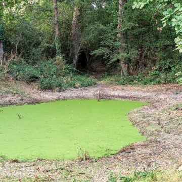 Une action collective pour notre patrimoine vert